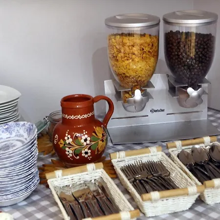 فندق مبيت وإفطار Scandia دوشنيكي زدروي