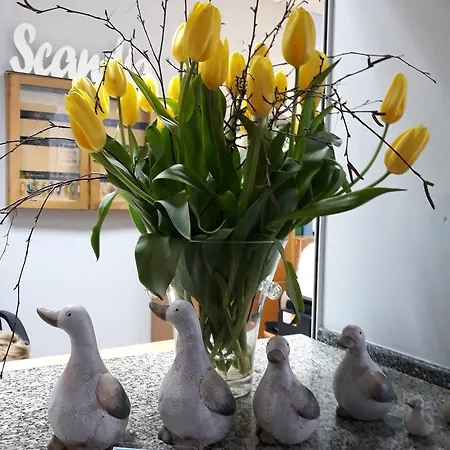 Scandia Bed and Breakfast Duszniki Zdrój